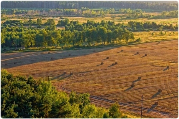 Охотничий календарь
