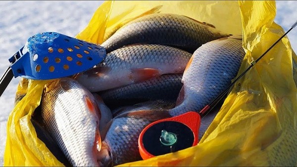  Ловля Плотвы (Зимой) на Мормышку | Топ-7 Самых Лучших Мормышек. Фото и Видео	 