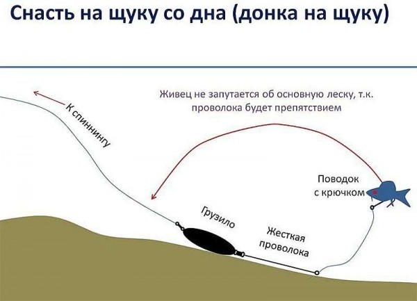  Ловля Щуки на Живца. Поплавочная и Донная оснастка | Видео	 