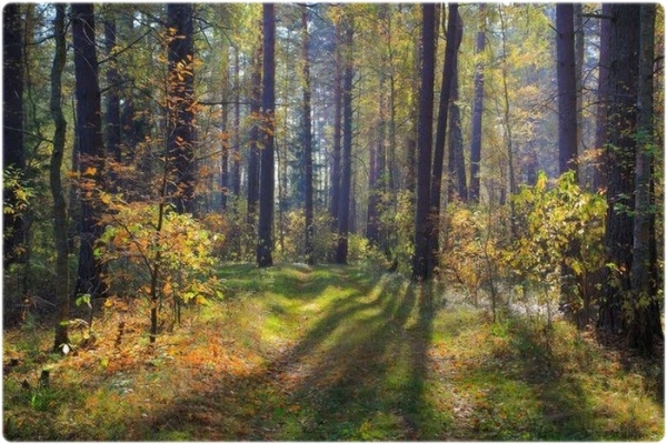 Охотничий календарь