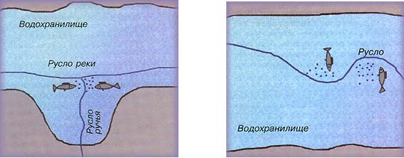 Мормышки для плотвы в глухозимье