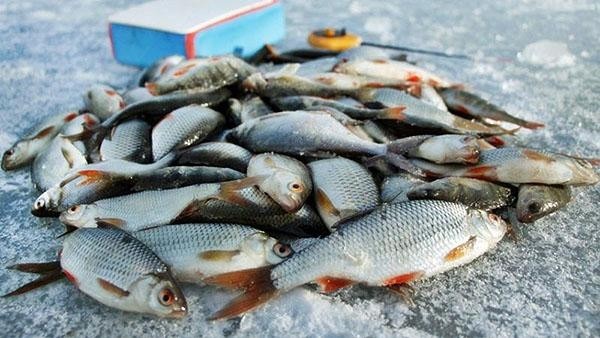  Ловля Плотвы (Зимой) на Мормышку | Топ-7 Самых Лучших Мормышек. Фото и Видео	 