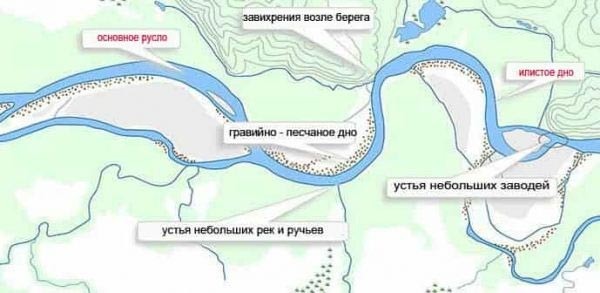 Особенности ловли налима зимой – тактика поиска на водоеме, снасти и секреты