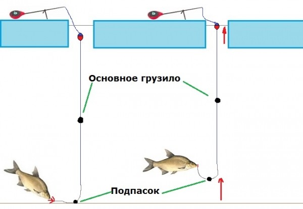 Особенности ловли плотвы в декабре – поиск, удочки и мормышки