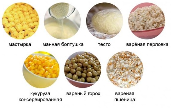 Ловля карпа зимой – особенности рыбалки на пруду