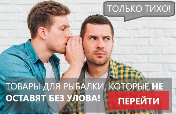 Ловля карпа зимой – особенности рыбалки на пруду