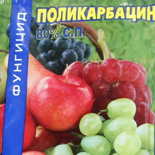 Химические меры борьбы с сорняками, болезнями и вредителями в саду