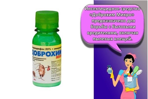 Мучной клещ: описание, местообитание, способы борьбы