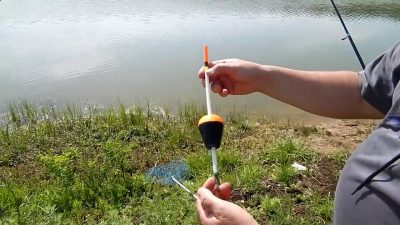 Ловля толстолобика — самые эффективные снасти