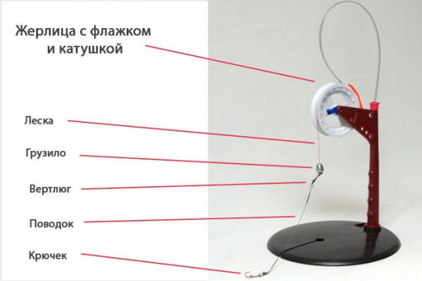 Ловля щуки на жерлицы зимой