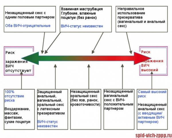 9 опасных болезней, передающиеся от собаки человеку