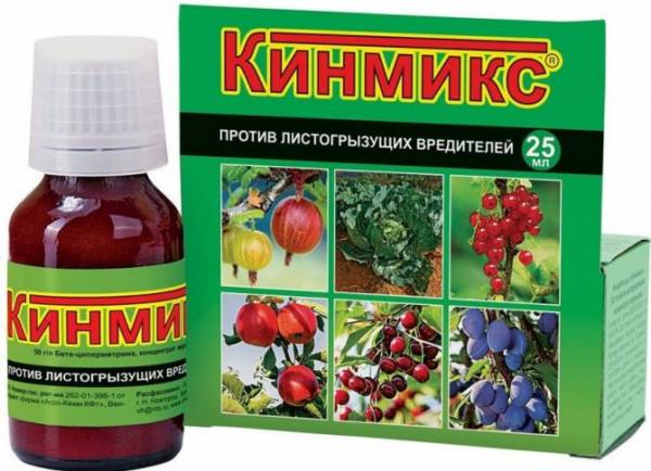 Вредители кустов черной и красной смородины. Меры борьбы