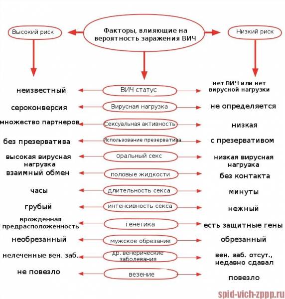 9 опасных болезней, передающиеся от собаки человеку