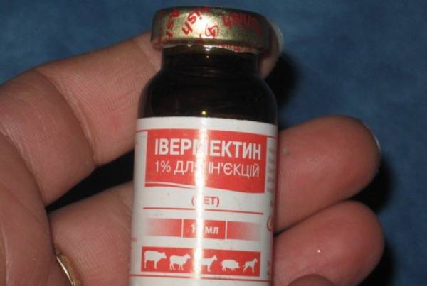 Капли на холку Стронгхолд как использовать для собак