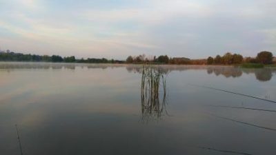 Ловля ротана на удочку и спиннинг