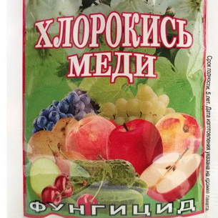 Химические меры борьбы с сорняками, болезнями и вредителями в саду