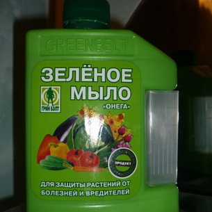 Химические меры борьбы с сорняками, болезнями и вредителями в саду