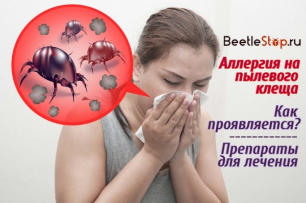 Мучной клещ: описание, местообитание, способы борьбы