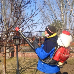 Вредители яблонь и груш: фото и меры борьбы