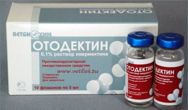 Капли на холку Стронгхолд как использовать для собак