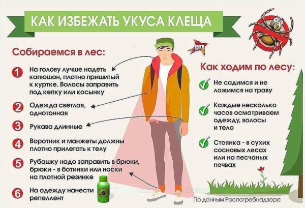 Хождение по мукам с укусом клеща: феерический личный опыт