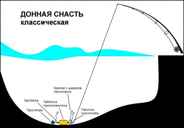 Ловля толстолобика — самые эффективные снасти