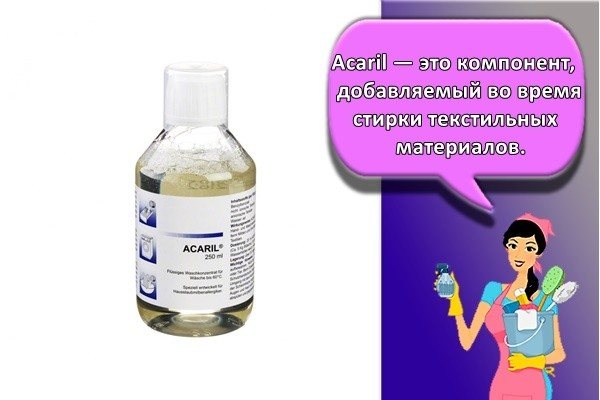 Мучной клещ: описание, местообитание, способы борьбы