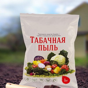 Вредители яблонь и груш: фото и меры борьбы