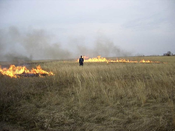 И кукушки голос в срок