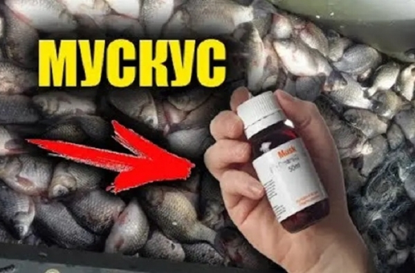 Почти браконьерская прикормка из трех компонентов
