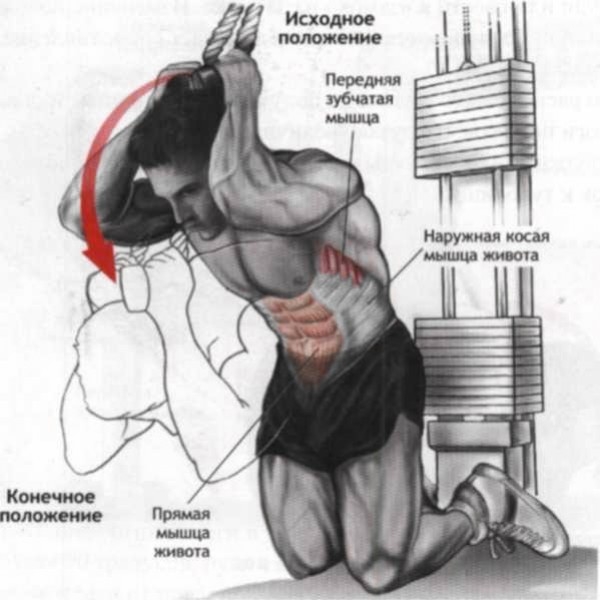 Косы мышцы. Скручивания туловища у верхнего блока. Упражнения на пресс на Верхнем блоке. Скручивания для пресса на Верхнем блоке. Зубчатые мышцы упражнения.
