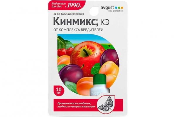Что такое клоп вредная черепашка и как с ним бороться