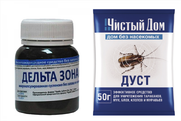 Постельный клоп: морфология, особенности жизненного цикла, способы борьбы