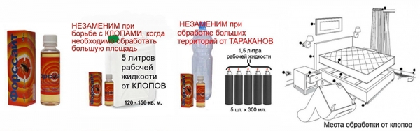 Средство Форсайт для уничтожения клопов