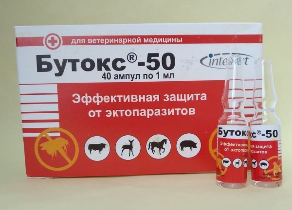 Клопы в квартире и доме: как избавиться самостоятельно раз и навсегда эффективными средствами