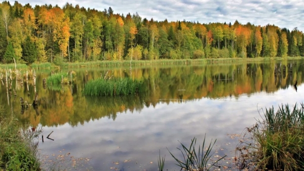 За плотвой осенью