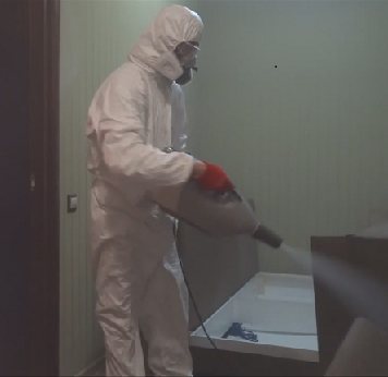 Среда обитания пылевых клещей в домашних условиях. Как избавиться от паукообразных?