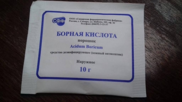 Клопы в квартире и доме: как избавиться самостоятельно раз и навсегда эффективными средствами
