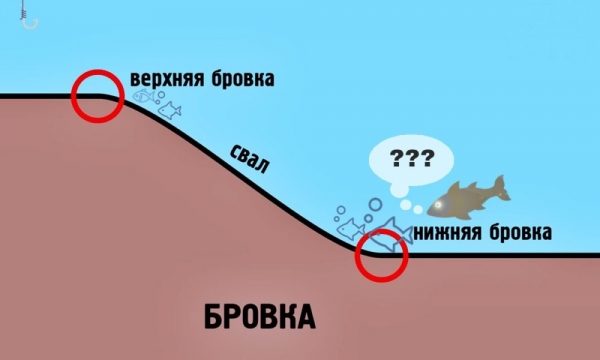 Как поймать язя на удочку летом