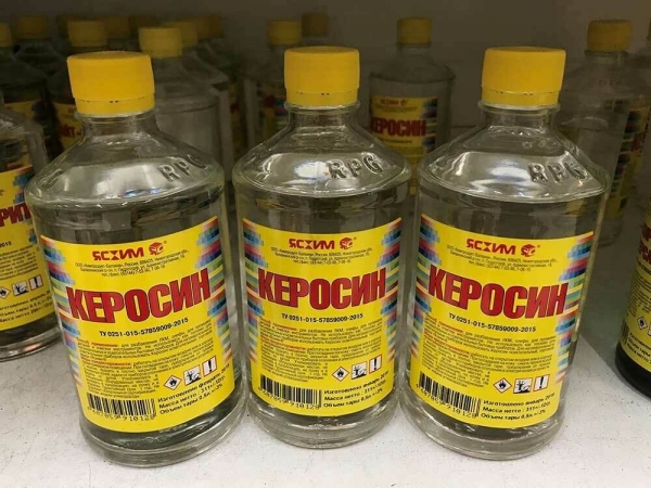 Клопы в квартире и доме: как избавиться самостоятельно раз и навсегда эффективными средствами