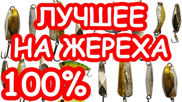 Блесна на жереха – рейтинг лучших