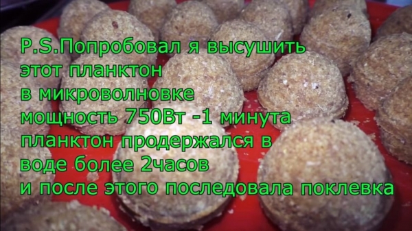 Как ловить толстолобика на технопланктон