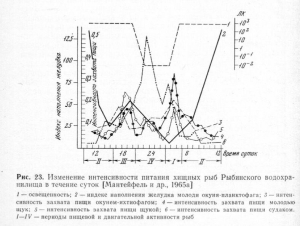 Уровень воды, течение, волна и клев рыбы