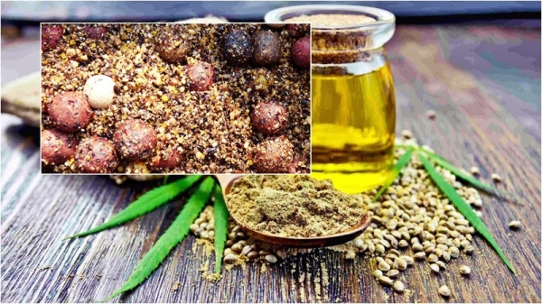 Ловля карпа весной до нереста и после