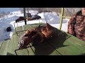 Рыбалка в Барнауле и его окрестностях