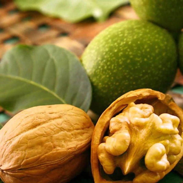 10 омолаживающих продуктов