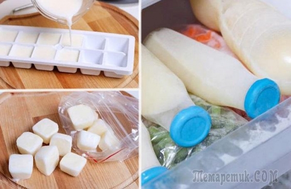 Как покупать и готовить продукты, чтобы не пришлось их выбрасывать в ведро
