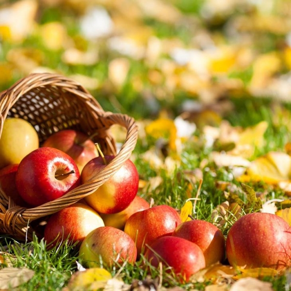 10 омолаживающих продуктов