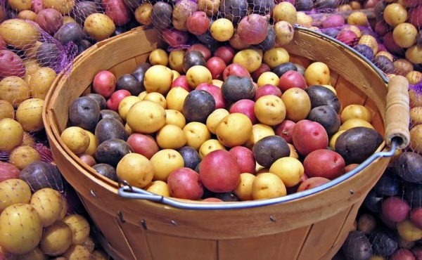 10 самых вредных продуктов для спортсменов
