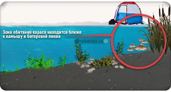 Ловля карася зимой со льда и подготовка снастей